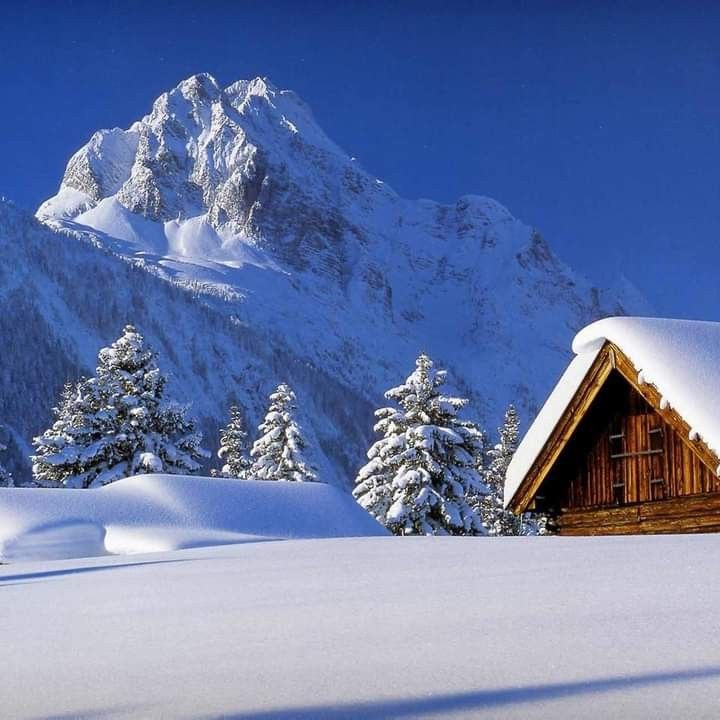 5 days to remember in kashmir 